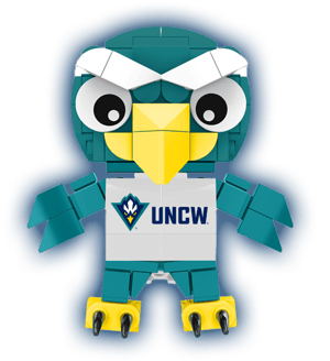 hawk-blocks