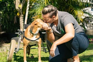 Casey Quimby kissing 3-legged dog in wheelchair