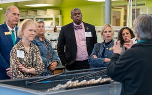 Foundation Board exploring CMS