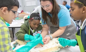 MarineQuest students learning to be scientists, working on a turtle