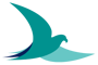 Teal Seahawk icon